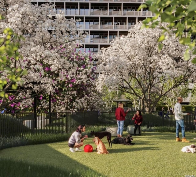 view of home's community with a lawn