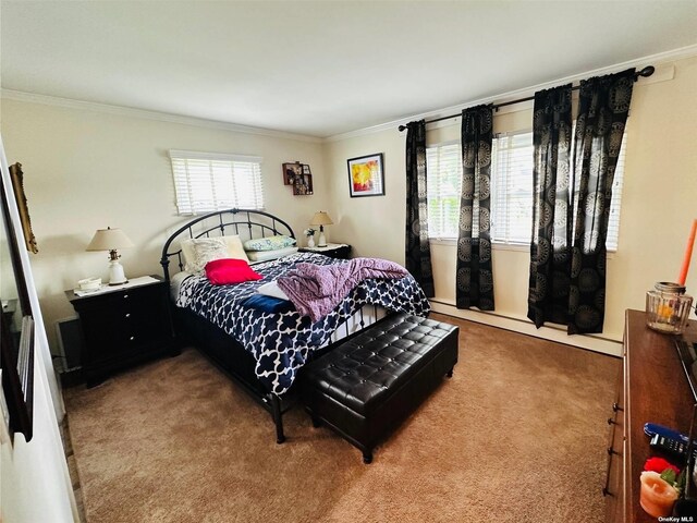 bedroom with crown molding and carpet