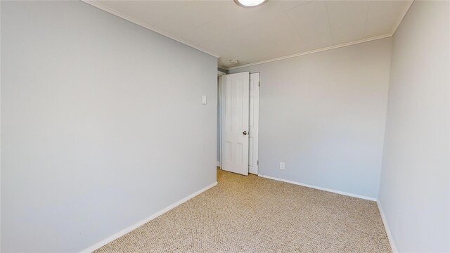 empty room featuring carpet floors and crown molding