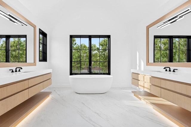 bathroom featuring vanity, a wealth of natural light, and a washtub