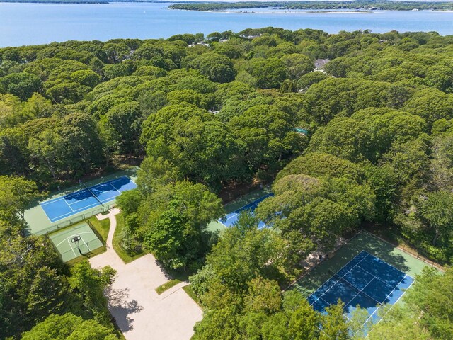 5 Widow Coopers Path, Sag Harbor, NY 11963 - bird's eye view of a heavily wooded area and a large body of water