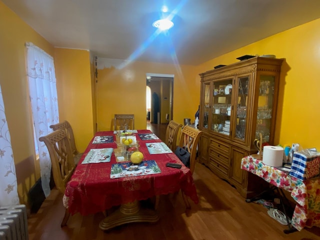 dining room with hardwood / wood-style floors and radiator