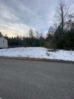 Listing photo 2 for LOT52 Forest Ln, Monticello NY 12701