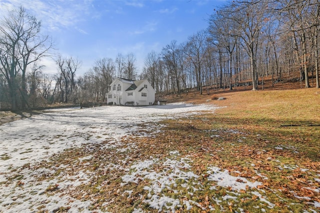 view of yard layered in snow