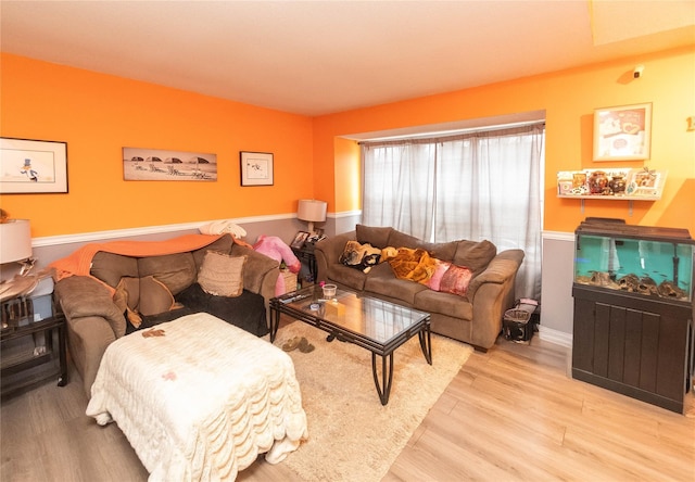 living room with light hardwood / wood-style flooring