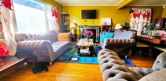 living room featuring wood-type flooring and crown molding