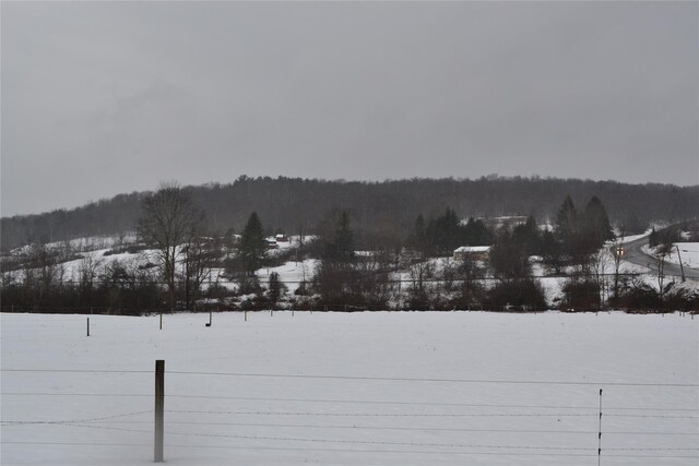 view of snowy yard