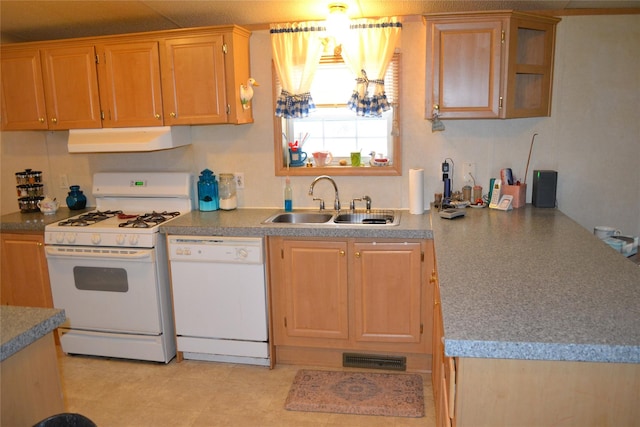 kitchen featuring ventilation hood, white appliances, and sink