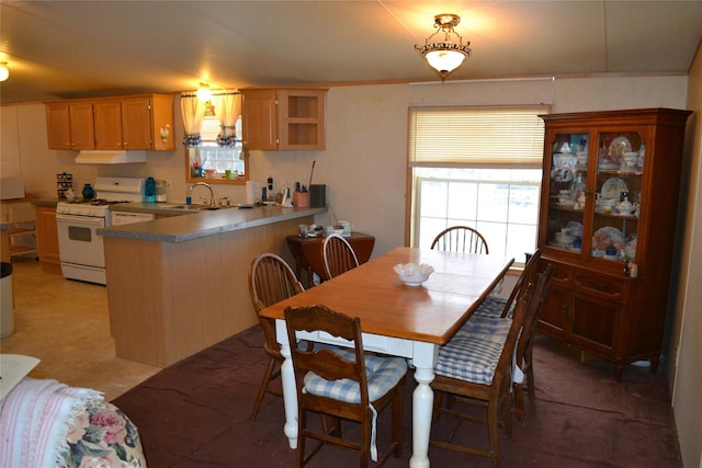 dining room with sink and light carpet