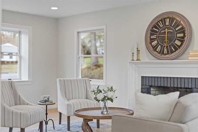 sitting room featuring wood-type flooring