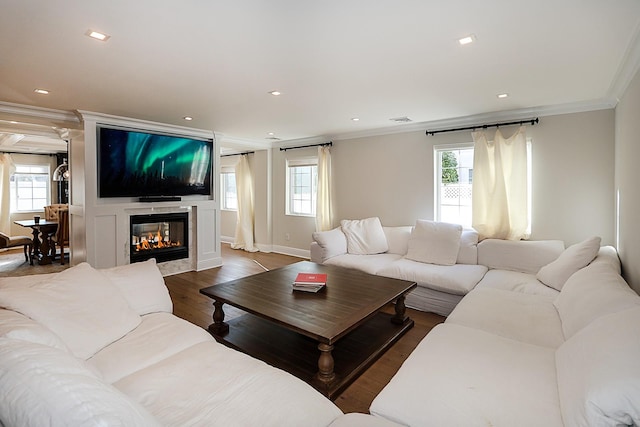 living room with wood-type flooring, plenty of natural light, and crown molding