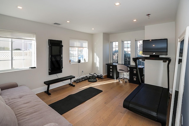 workout room featuring light hardwood / wood-style floors and a wealth of natural light