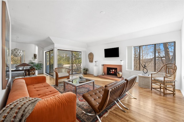 living room with light hardwood / wood-style flooring