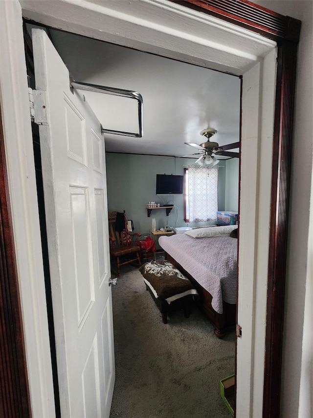 bedroom with ceiling fan and carpet floors