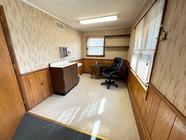 office space with wooden walls, ornamental molding, wainscoting, and a sink