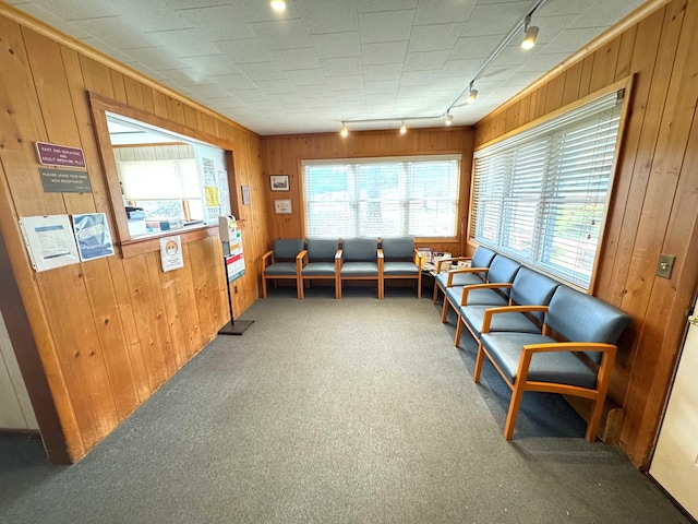 living room with rail lighting, wooden walls, and carpet flooring