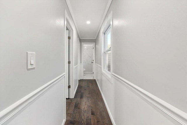 hallway featuring dark hardwood / wood-style floors and crown molding