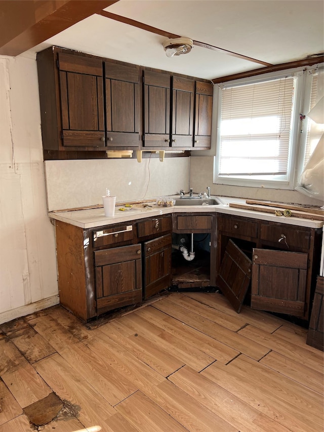 kitchen featuring sink, dark brown cabinets, and light wood-type flooring