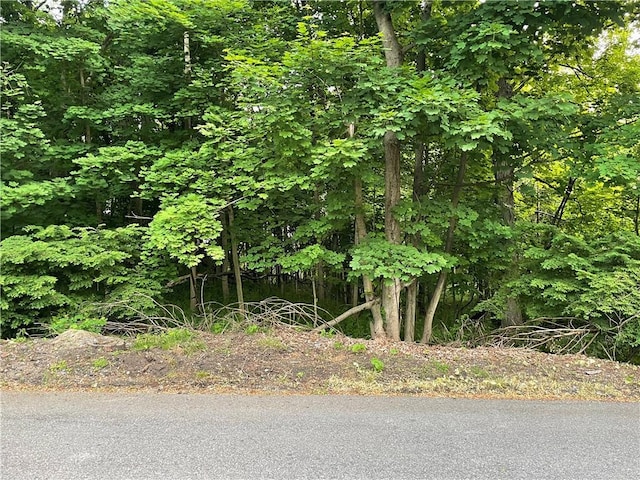 Dorothy Hts, Wappingers Falls NY, 12590 land for sale