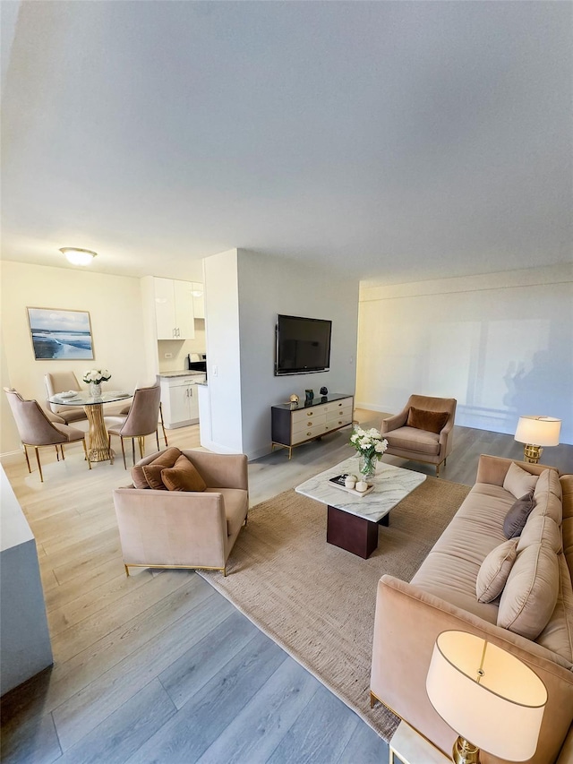 living room featuring light wood-type flooring