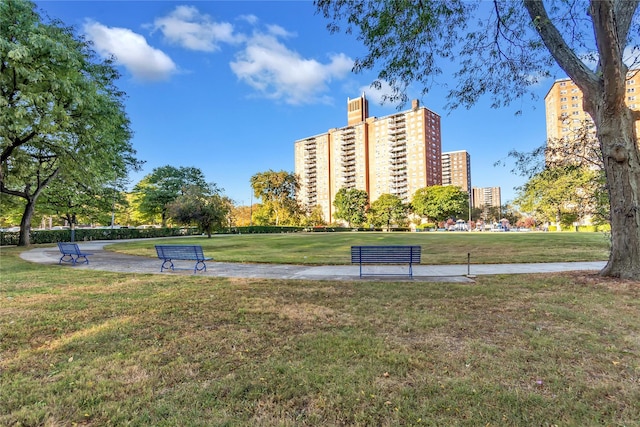 view of community with a lawn