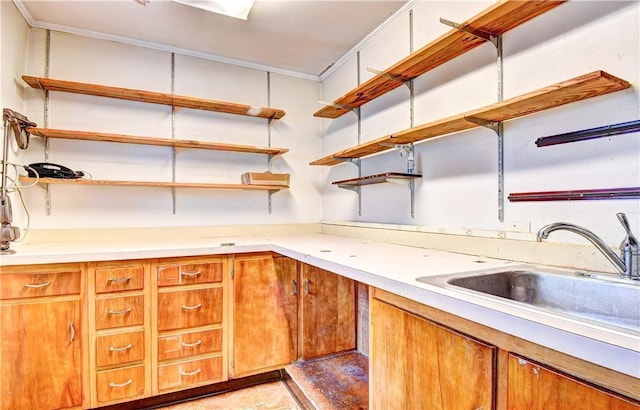 kitchen with crown molding and sink