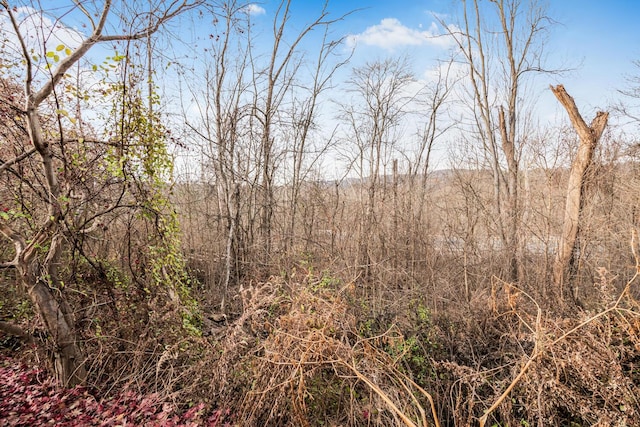 view of local wilderness