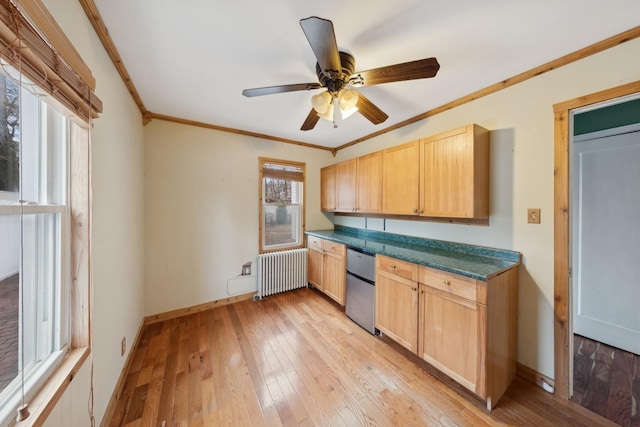 kitchen featuring ceiling fan, radiator heating unit, crown molding, light brown cabinetry, and light wood-type flooring