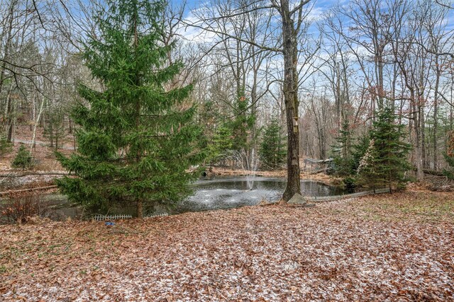 7083 State Route 97, Narrowsburg, NY 12764 - photo 34