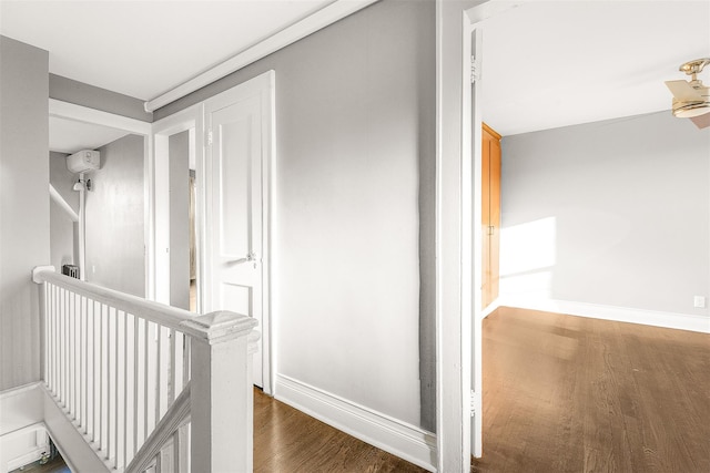 hallway featuring dark hardwood / wood-style floors