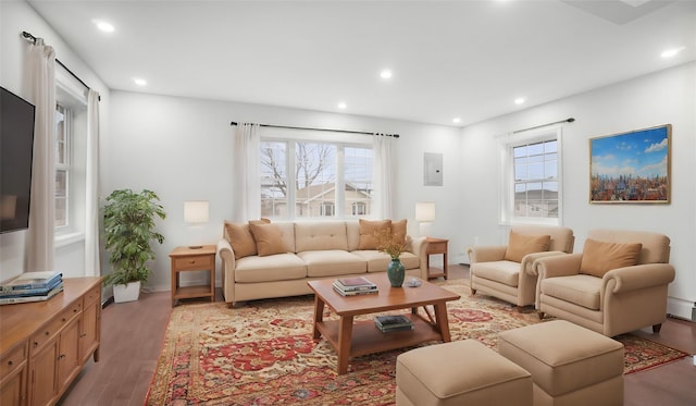 living room with electric panel, light hardwood / wood-style flooring, and a healthy amount of sunlight