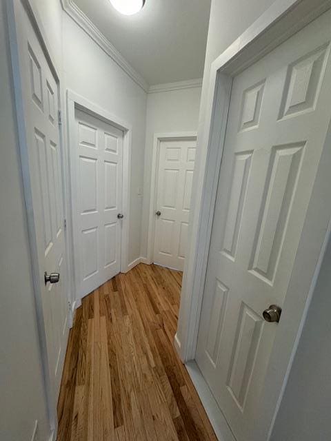 hall with crown molding and light hardwood / wood-style floors