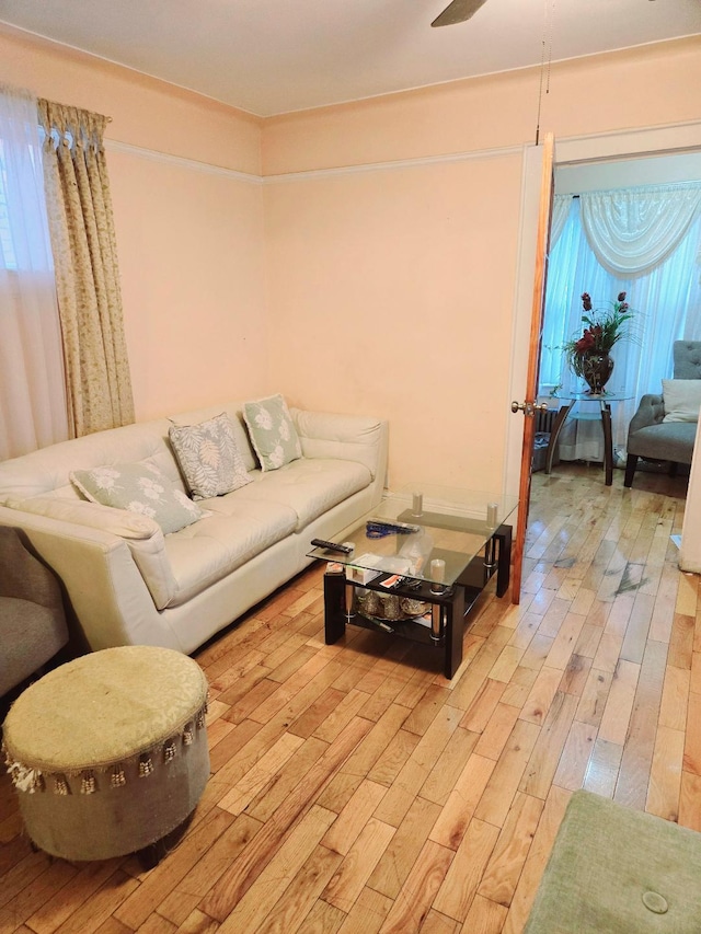 living room with light hardwood / wood-style floors and ceiling fan