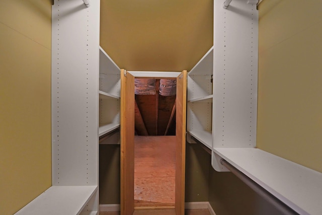 view of walk in closet