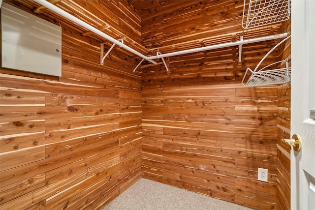 spacious closet with carpet floors