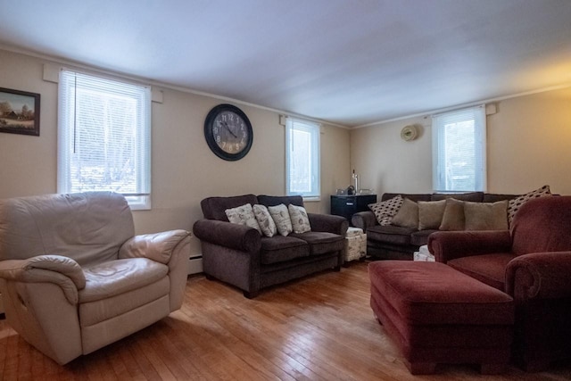 living room with crown molding and light hardwood / wood-style flooring