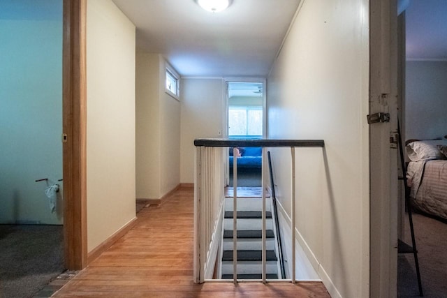 stairway with wood-type flooring