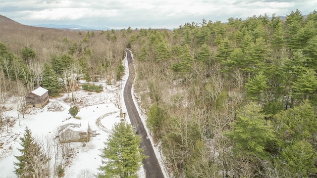 birds eye view of property featuring a mountain view