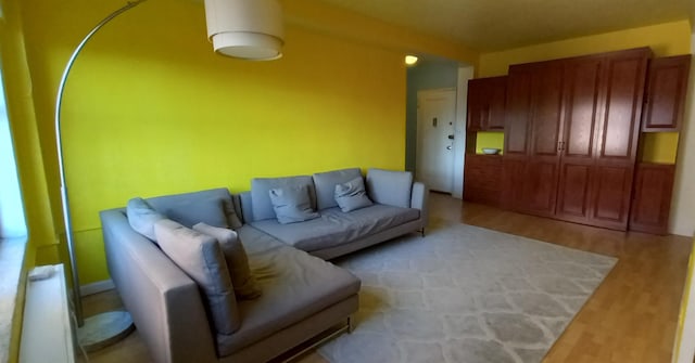 living room featuring light wood-type flooring