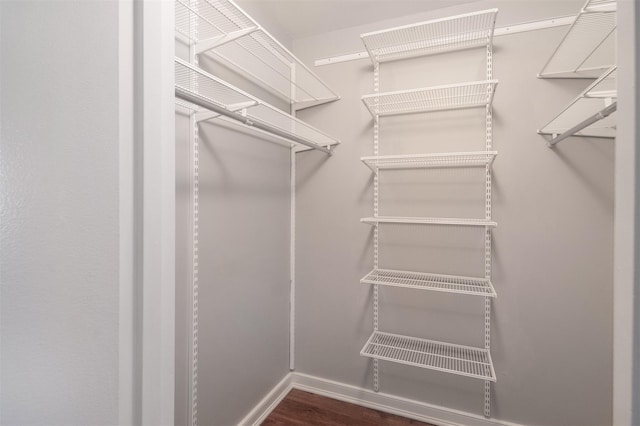 spacious closet featuring dark hardwood / wood-style floors