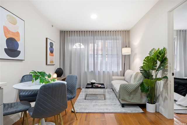 living room featuring hardwood / wood-style flooring