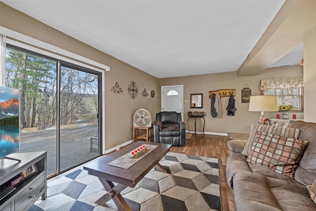 living room with hardwood / wood-style floors