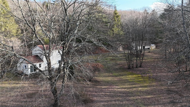 view of local wilderness