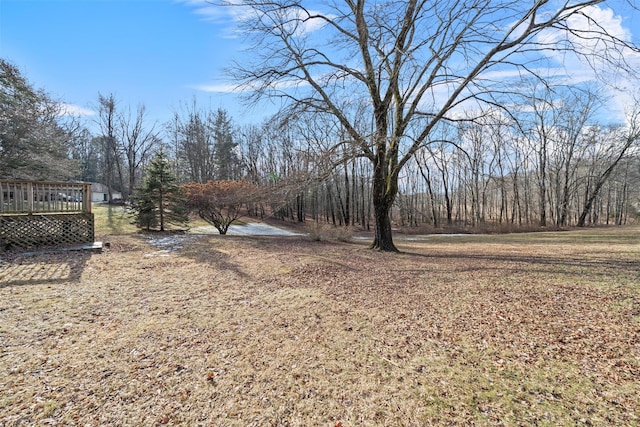 view of yard with a wooden deck