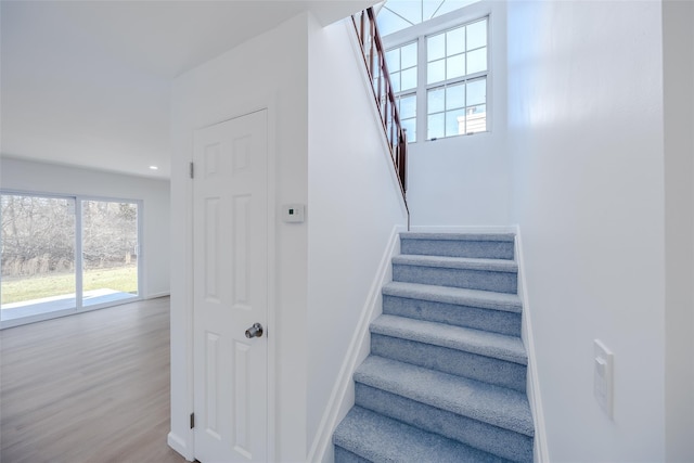 staircase featuring hardwood / wood-style flooring