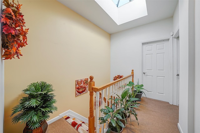 hall with carpet floors and a skylight