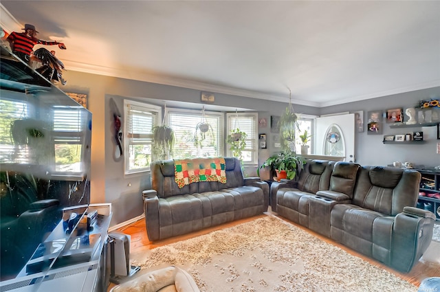 living room with wood-type flooring and ornamental molding