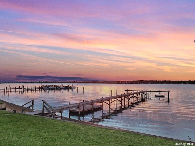 dock area with a water view