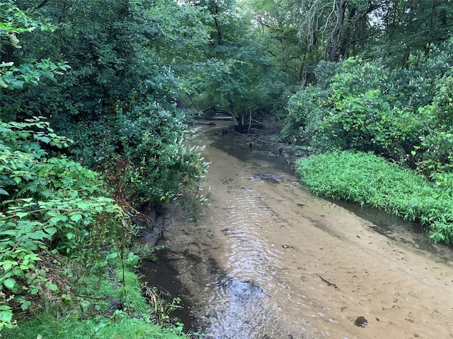 view of local wilderness with a water view