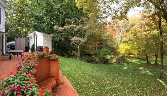 view of yard featuring a storage shed